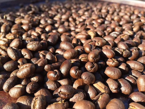 Tanzania Peaberry Kilimanjaro